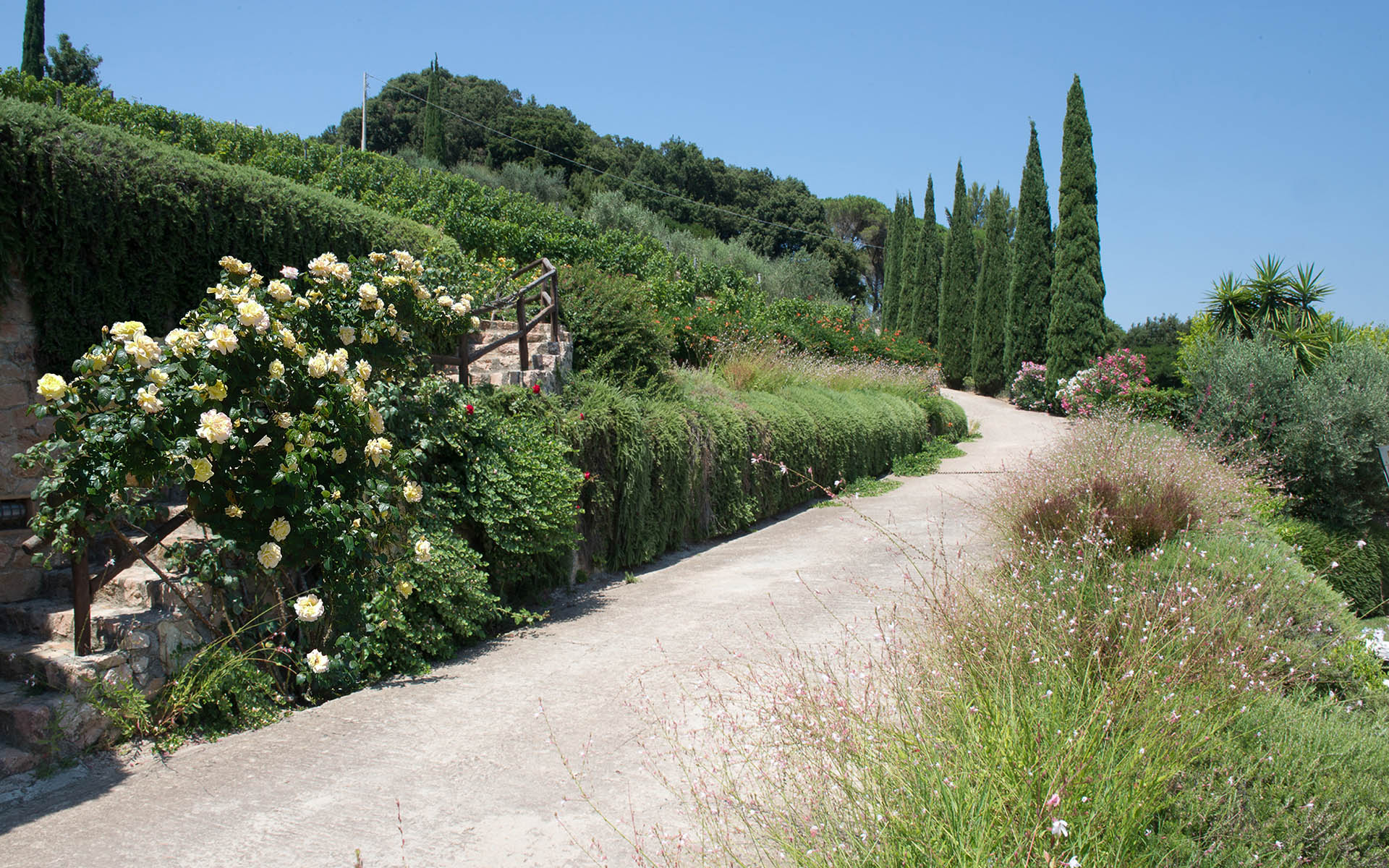 Villa Pierino, Tuscany