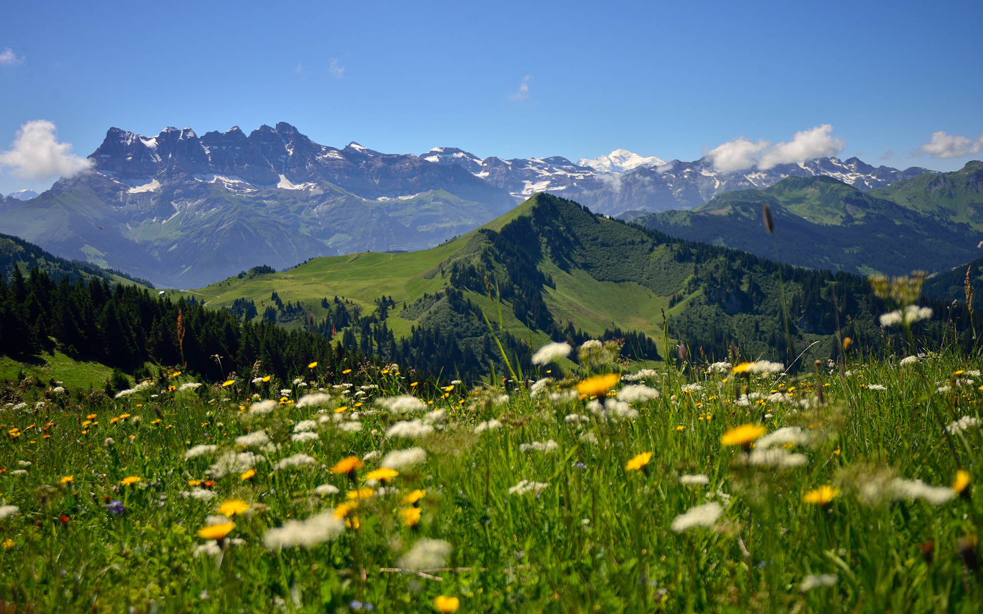 Chalet Cannelle, Châtel