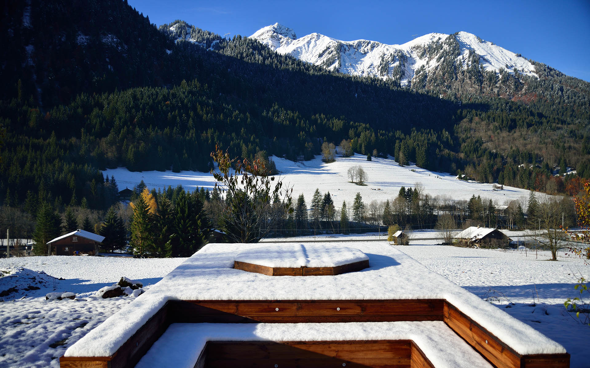 Chalet Cannelle, Châtel