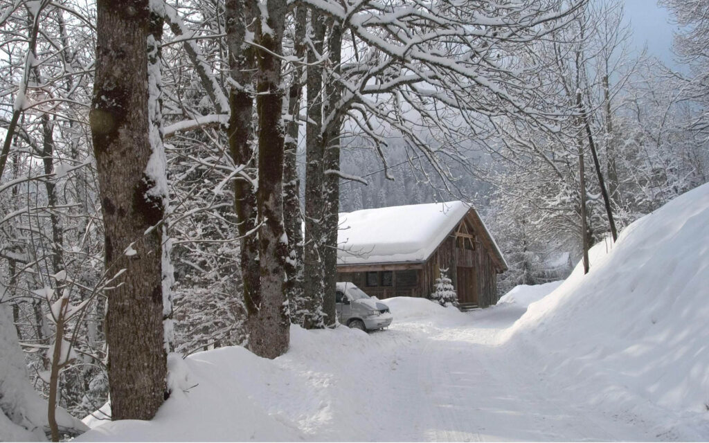 ferme de moudon 2