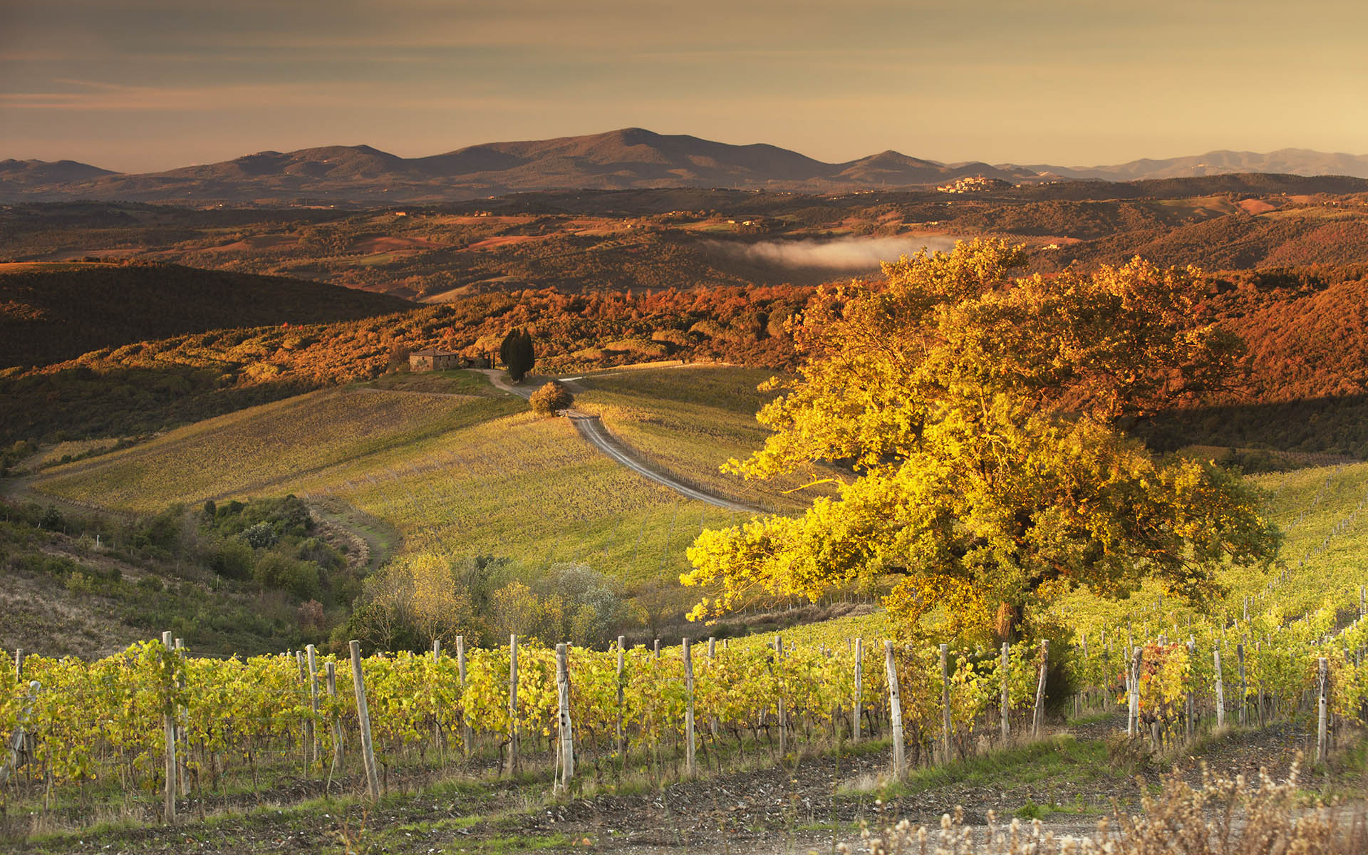 Best of: Luxury Villas in Tuscany