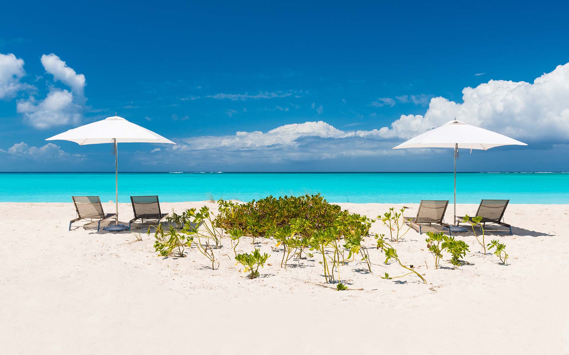 Hawksbill, Turks and Caicos