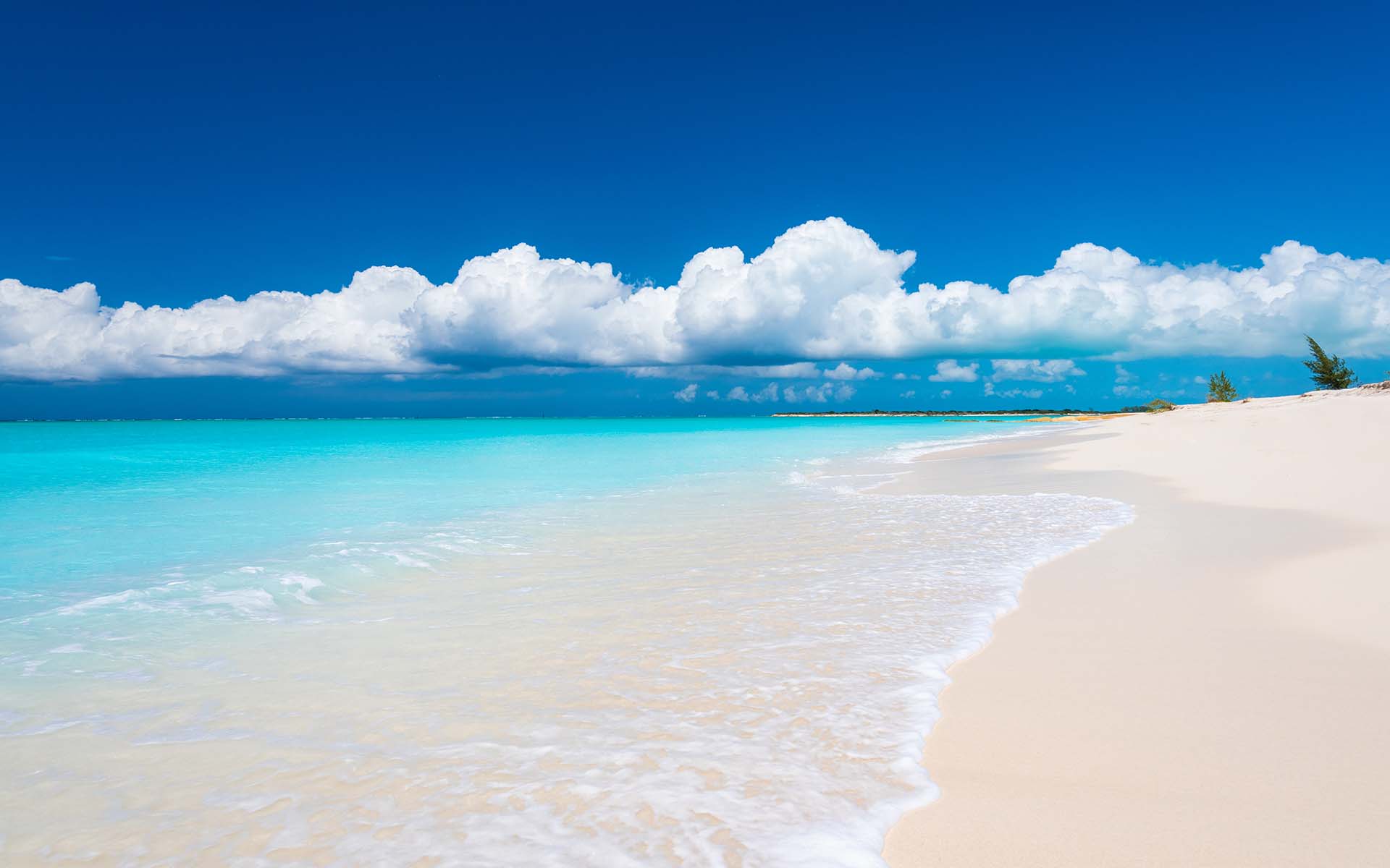 Hawksbill, Turks and Caicos
