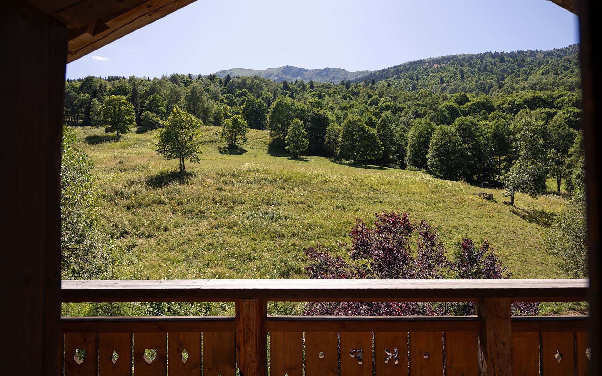 Chalet L’Orchidée, Méribel